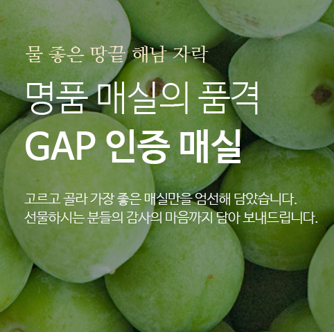 GAP 명품 매실