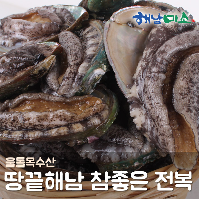 전복 1kg(8-9미)