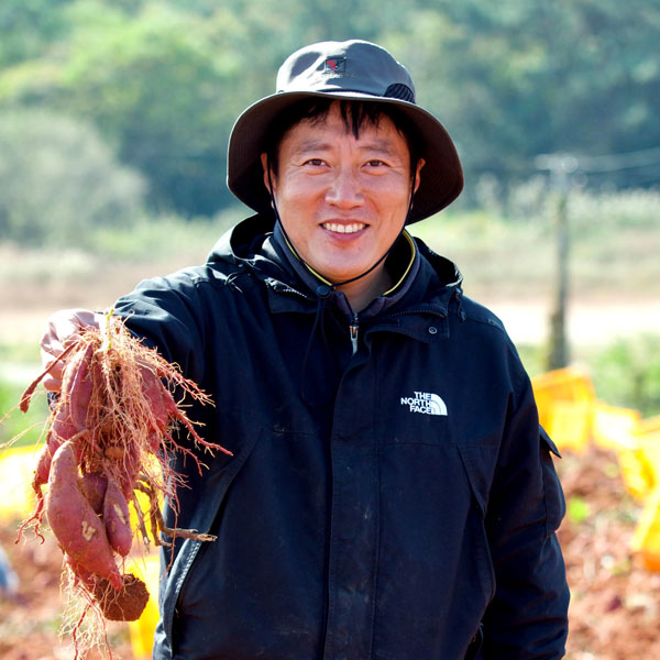 조영래 세척 꿀고구마 3kg(특상)