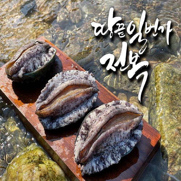 활전복 1kg(11-12미)