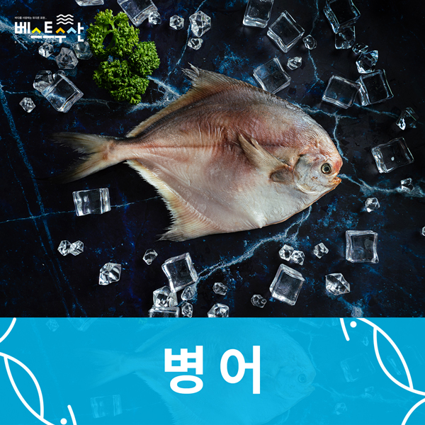 반건조 병어 1미(25cm/240g내외)