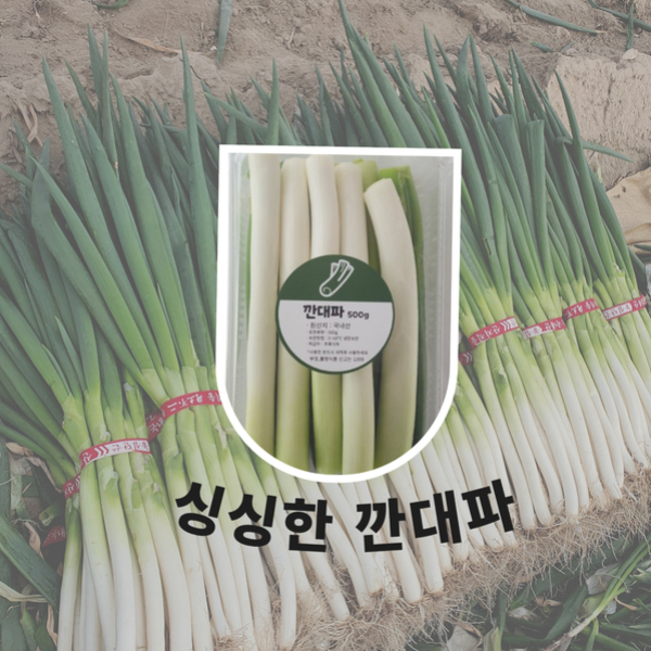 깐대파 1kg(500g*2개)