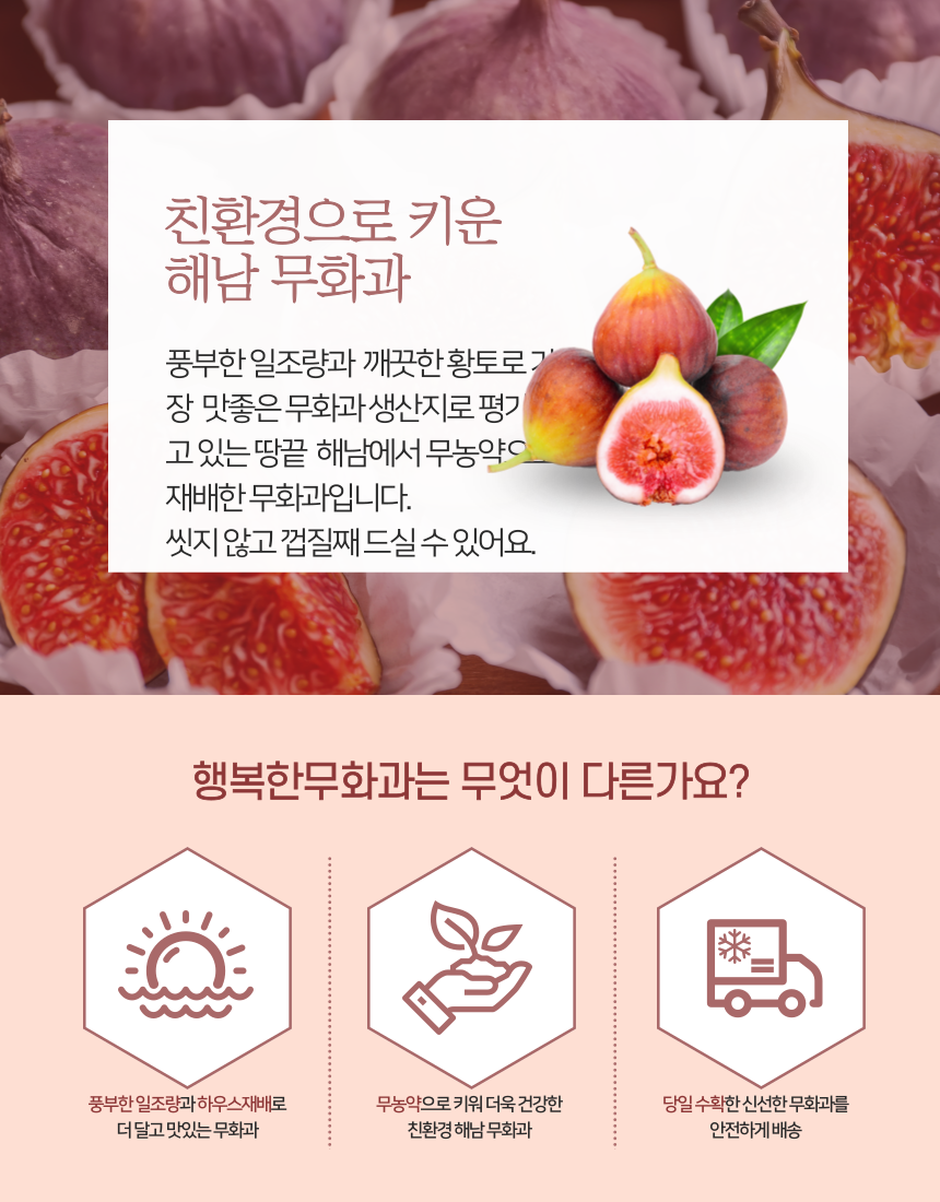 흑마늘 조청 370g